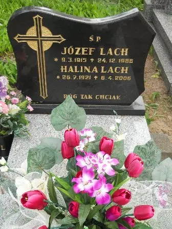 Zdjęcie grobu 33/345
