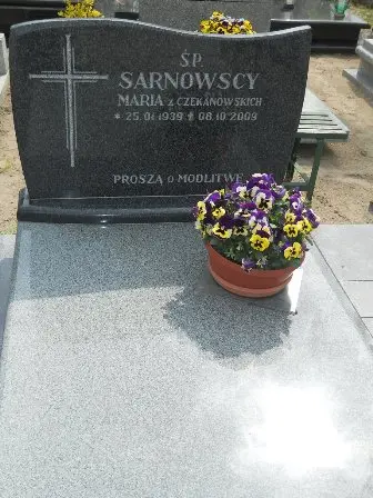 Zdjęcie grobu 43/347.348