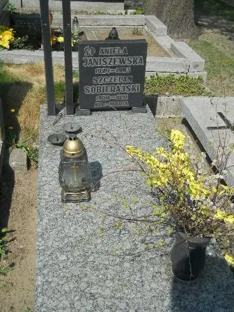 Zdjęcie grobu 29/145,146