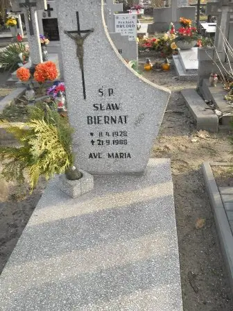 Zdjęcie grobu 10/100