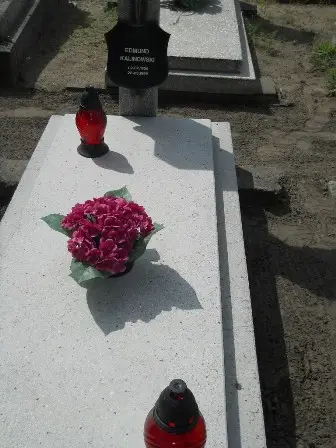 Zdjęcie grobu 20/464
