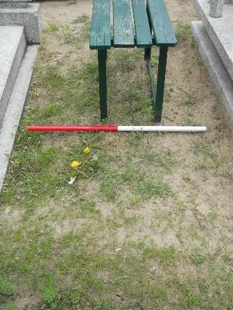 Zdjęcie grobu 43/100