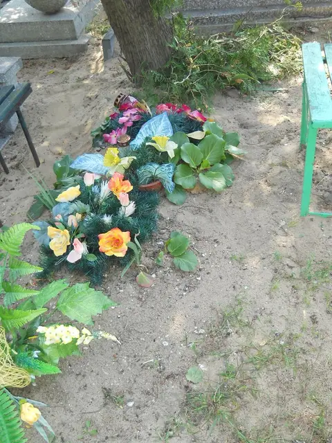 Zdjęcie grobu 14/27304
