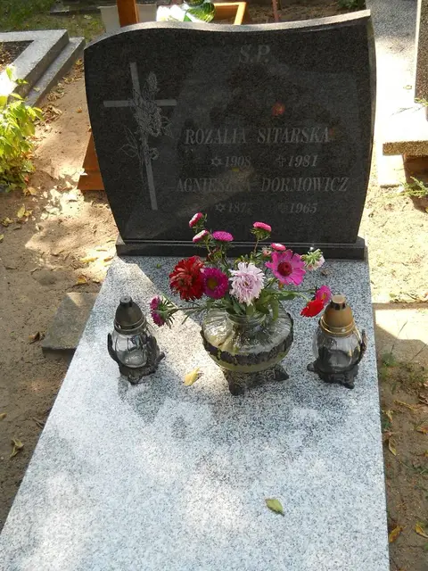 Zdjęcie grobu 17/28176