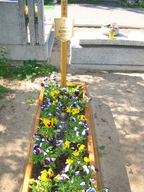 Zdjęcie grobu 18/28482