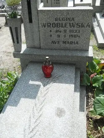 Zdjęcie grobu 21/315