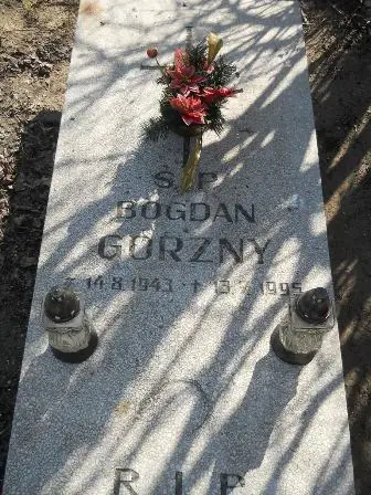 Zdjęcie grobu 3/293