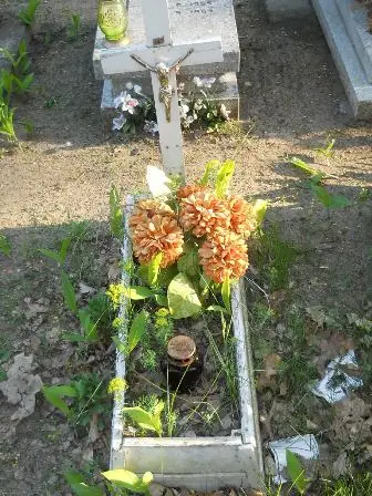 Zdjęcie grobu 7b/100