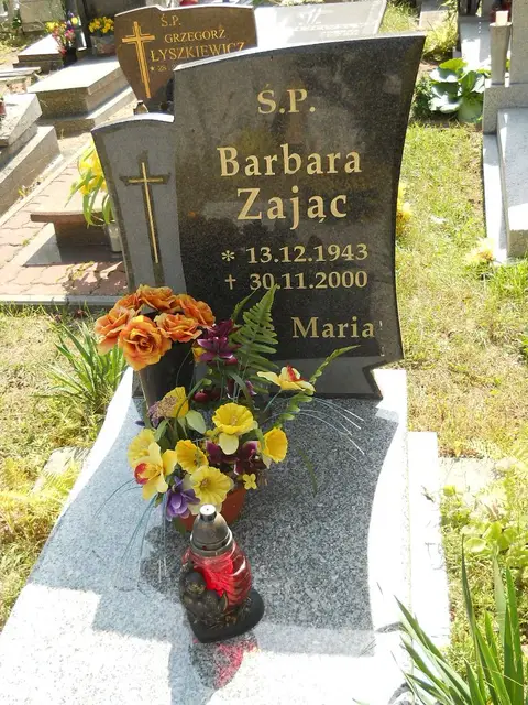 Zdjęcie grobu 18/28381