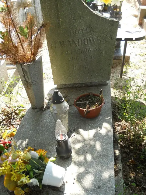 Zdjęcie grobu 14/27390