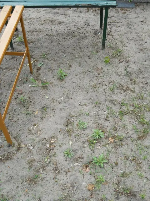 Zdjęcie grobu 8/10658