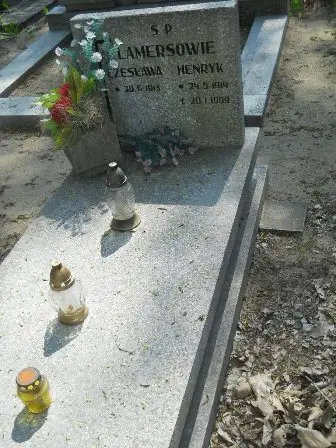 Zdjęcie grobu 30/100