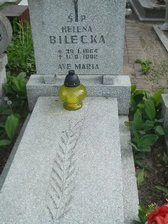 Zdjęcie grobu 22/40