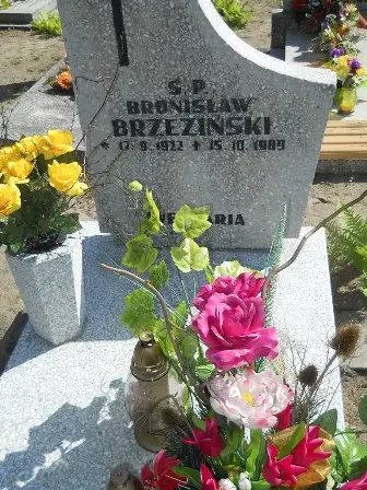 Zdjęcie grobu 46/100