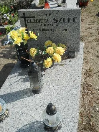 Zdjęcie grobu 46/356gł