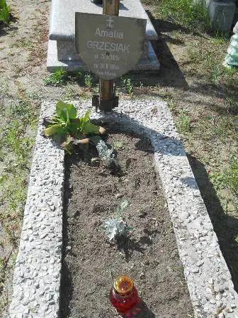 Zdjęcie grobu 25/409