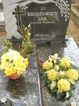 Zdjęcie grobu G/230,231