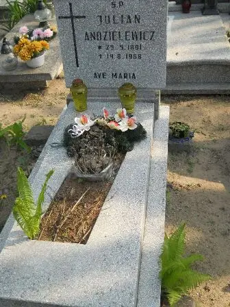 Zdjęcie grobu 9a/68