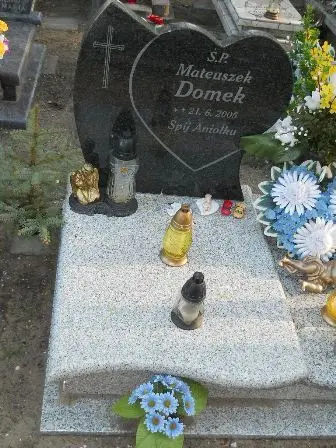 Zdjęcie grobu 7b/152