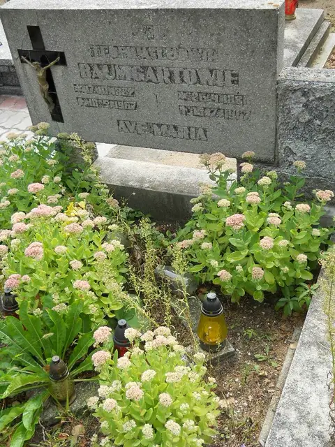 Zdjęcie grobu 16/26220