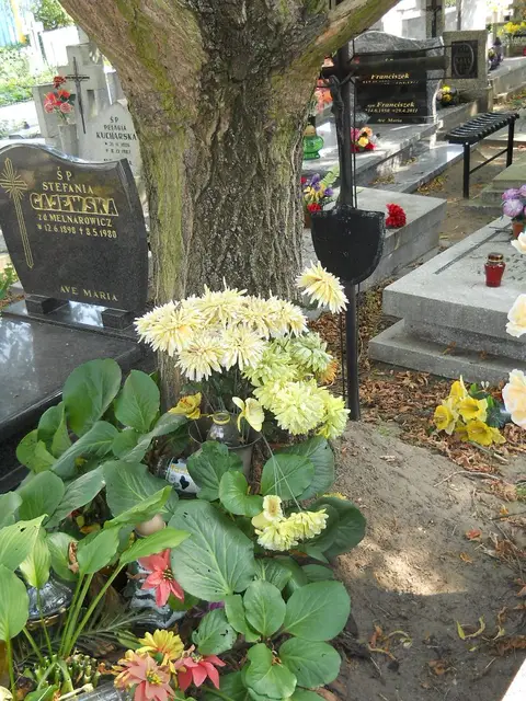 Zdjęcie grobu 19/28566