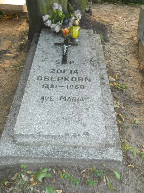 Zdjęcie grobu 13/29033