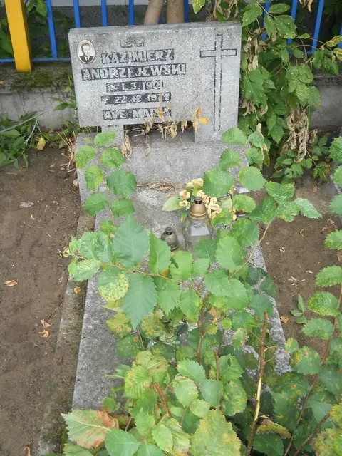 Zdjęcie grobu 14/26004