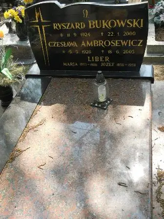 Zdjęcie grobu 30/172,173