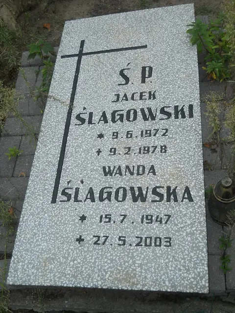 Zdjęcie grobu 12/29362