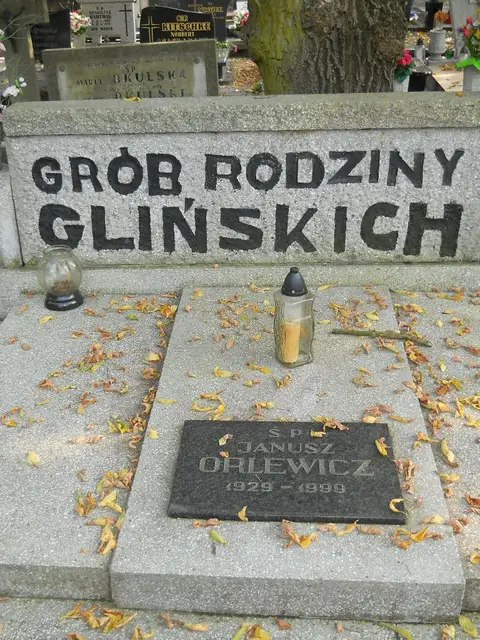 Zdjęcie grobu 15/26671