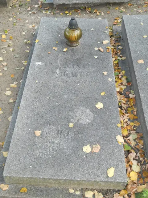 Zdjęcie grobu 14/26868