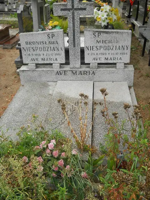 Zdjęcie grobu 14/26071