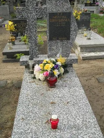 Zdjęcie grobu 34/105