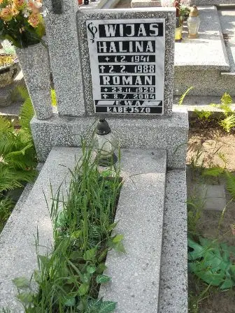Zdjęcie grobu 20/215