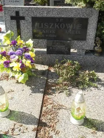 Zdjęcie grobu 24/224a