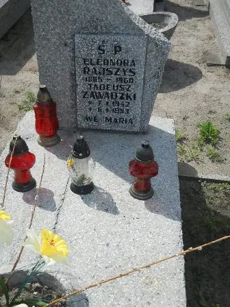 Zdjęcie grobu 20/483
