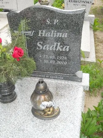 Zdjęcie grobu 23/132