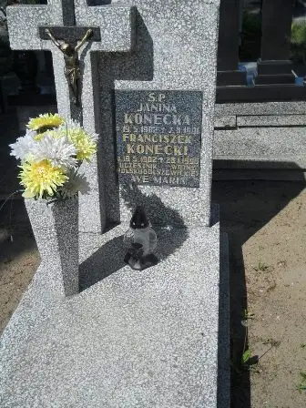 Zdjęcie grobu E/141