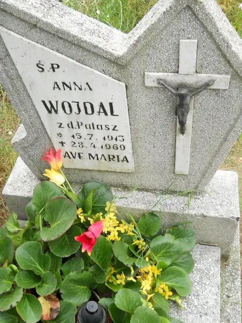 Zdjęcie grobu 22/23522