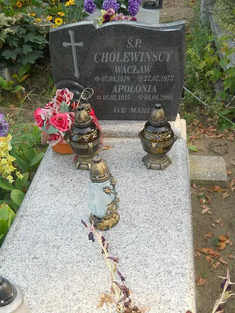 Zdjęcie grobu 15/26774