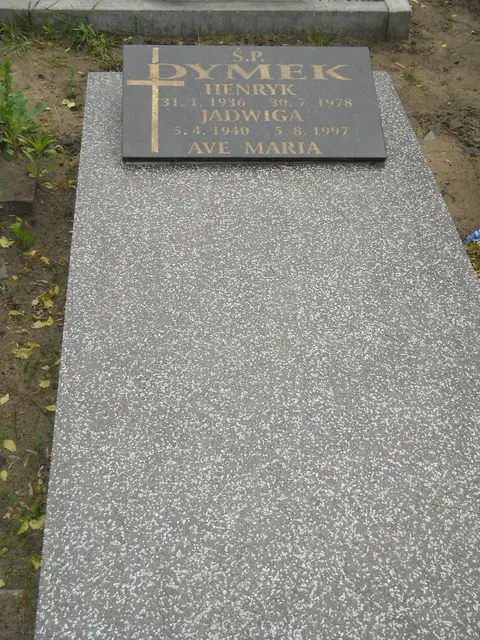 Zdjęcie grobu 7/10866