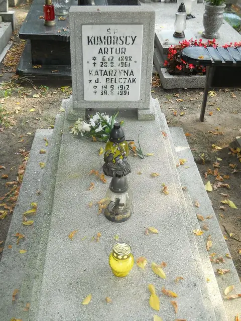 Zdjęcie grobu 15/26573