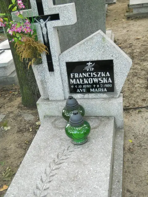 Zdjęcie grobu 13/29581