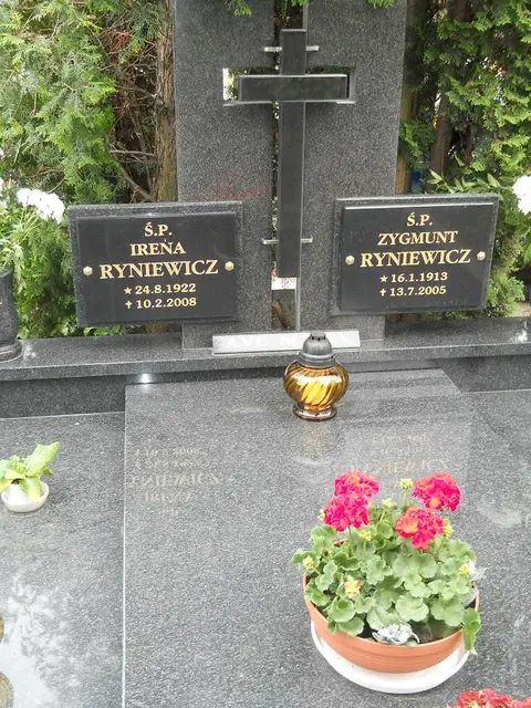 Zdjęcie grobu 7/11049