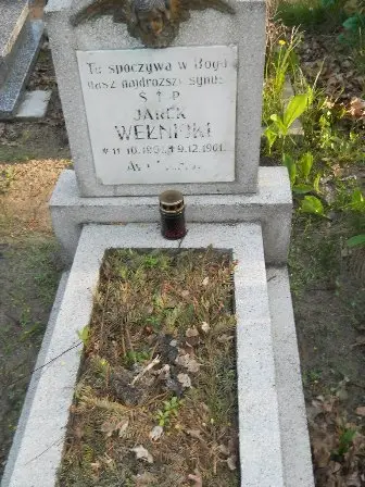 Zdjęcie grobu 7b/30