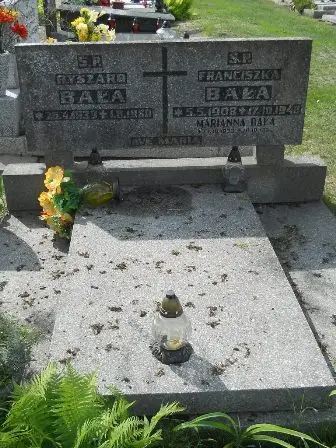 Zdjęcie grobu 26/100