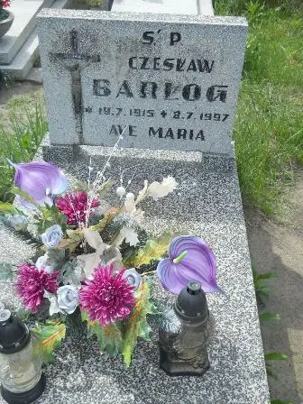 Zdjęcie grobu 20/576
