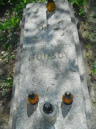 Zdjęcie grobu 28/231