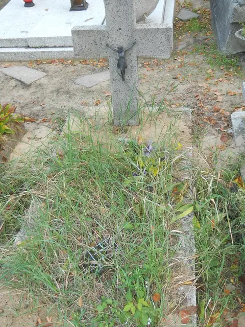 Zdjęcie grobu 14/26944