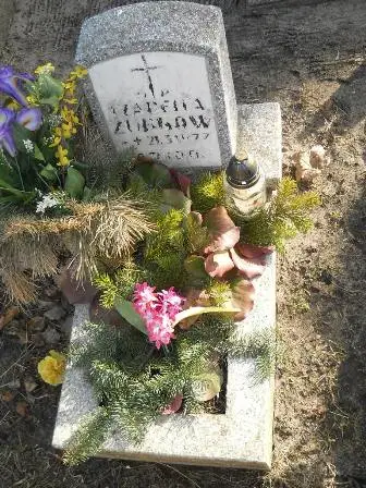 Zdjęcie grobu 100/100